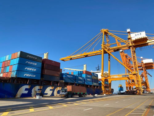 高水平開放助推溫州高質量發展 集裝箱見證外貿繁榮